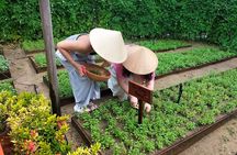 Farm to Table Cooking Class & Handicraft