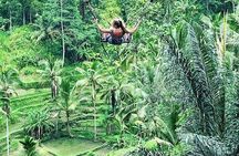 Ubud Private Tour