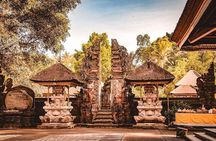 Ubud Private Tour