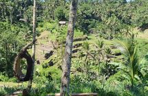 Ubud Private Tour