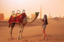 Morning Desert Safari with Sandboard and Camel Ride