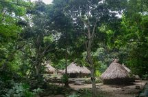 Seviaka Indigenous People and Tubing Tour in Palomino