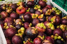 Exotic Fruit and Local Culture Experience in Medellín