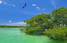 Nature Day, Sian Kaan Biosphere Tour! Round Transportation from Tulum City