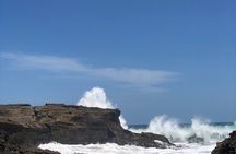 Piha Beach 
