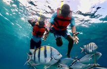 Nature Adventure! Cozumel Clear Boat From Cancun