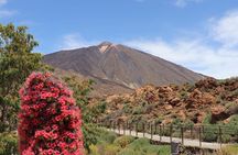 Masca - Garachico - Icod - Teide National Park