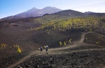 Masca - Garachico - Icod - Teide National Park
