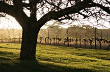 The Florita Wine Tasting Experience 