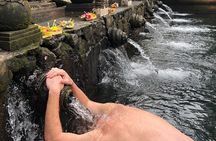 Bali Swing Ubud Hot Spring Waterfall Private Tour Free WiFi 