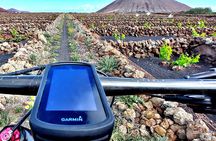 Lanzarote E-Bike Tour: Volcano Craters & Scenic Vineyards