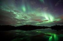 Northern Lights Husky Visit
