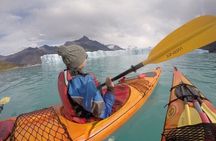 Perito Moreno Adventure: Kayak Experience and Walkway Tour