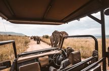 3 Days Masai Mara Magical Safari