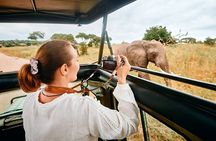 3 Days Masai Mara Magical Safari
