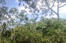 Tubing Across Palomino River Including a Hiking Tour 