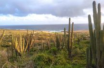 Sunrise Hike with Private Guide to Natural Bridge (North Coast)