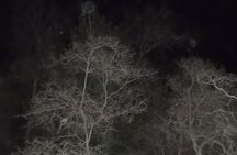 Paranormal Investigation History & Ghost Tour Old Town San Diego