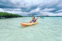 Bacalar Lagoon & Kayak Ride! Round Transportation from Tulum City