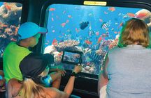 Royal SeaScope Semi Submarine with Transfer - Sharm El Sheikh