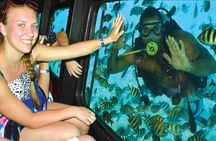 Royal SeaScope Semi Submarine with Transfer - Sharm El Sheikh