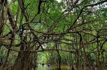Khaolak Nature & Culture Tour with Lunch