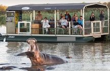 Isimangaliso Wetlands, plus Hippo & Croc Boat Cruise Full Day Tour from Durban