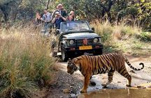 7 Days Golden Triangle Tour with Ranthambore & Varanasi Tour