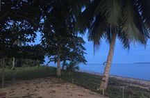 Mangrove Cruise with Fireflies Tour Including Dinner from Sandakan