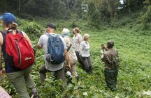 3 Day Rwanda to Uganda gorilla trekking Safari