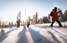 Ski Trekking Safari in Lapland 