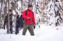 Snowshoe Trip in the Wilderness