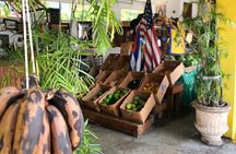 Little Havana Food and Culture Walking Tour