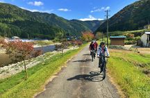 Half Day Private Rural E-Bike Tour in Hida