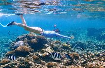Private Half Day Boat Tour, 3 locations of your choice