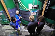 Private Sake Brewery Visit and Tasting Tour in Hida
