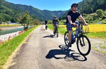 Hida Private E-Bike Tour with Premium Lunch and Farm Experience