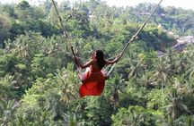Private Tour : Individual costumize route with FREE - WIFI 