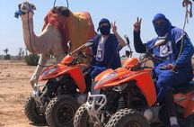 Sensational quad and camel ride in the palm grove