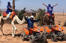 Sensational quad and camel ride in the palm grove