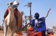 Sensational quad and camel ride in the palm grove