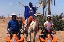 Sensational quad and camel ride in the palm grove