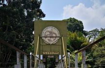 Orang Utan Island Day Tour (Bukit Merah)