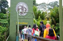 Orang Utan Island Day Tour (Bukit Merah)