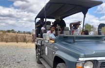 2-Day Mikumi National Park Tour from Zanzibar 
