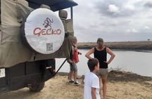 2-Day Selous Game Reserve Tour from Zanzibar