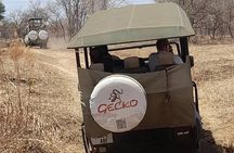 2-Day Selous Game Reserve Tour from Zanzibar