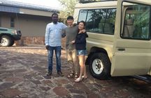 4 Days Wildlife Tanzania Adventure