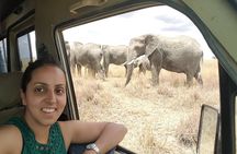 3-Day Private budget safari 