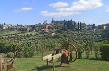 HALF-DAY: Chianti Classic Tour with Wine Experience & visit of San Gimignano